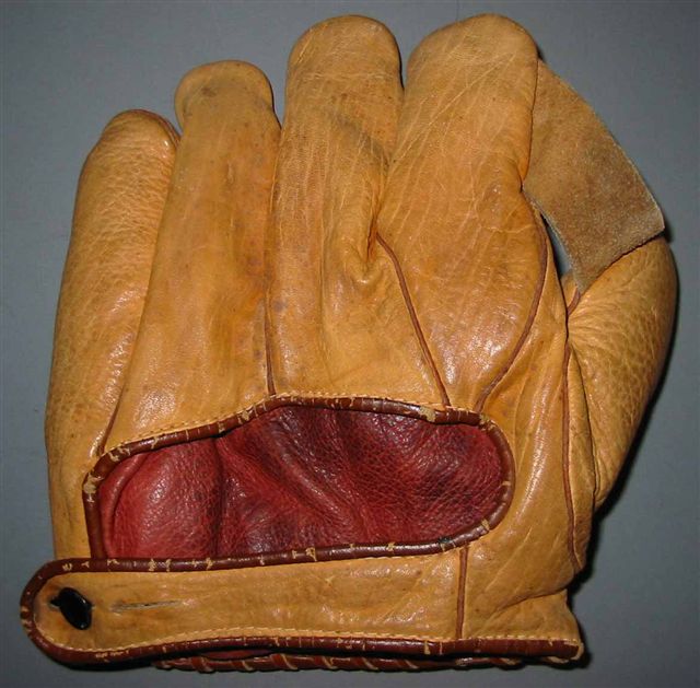 Yellow 1 Inch Web Back